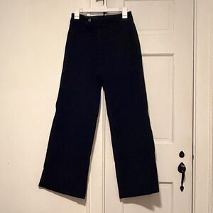Palmer Wide Leg Brushed Navy Pants